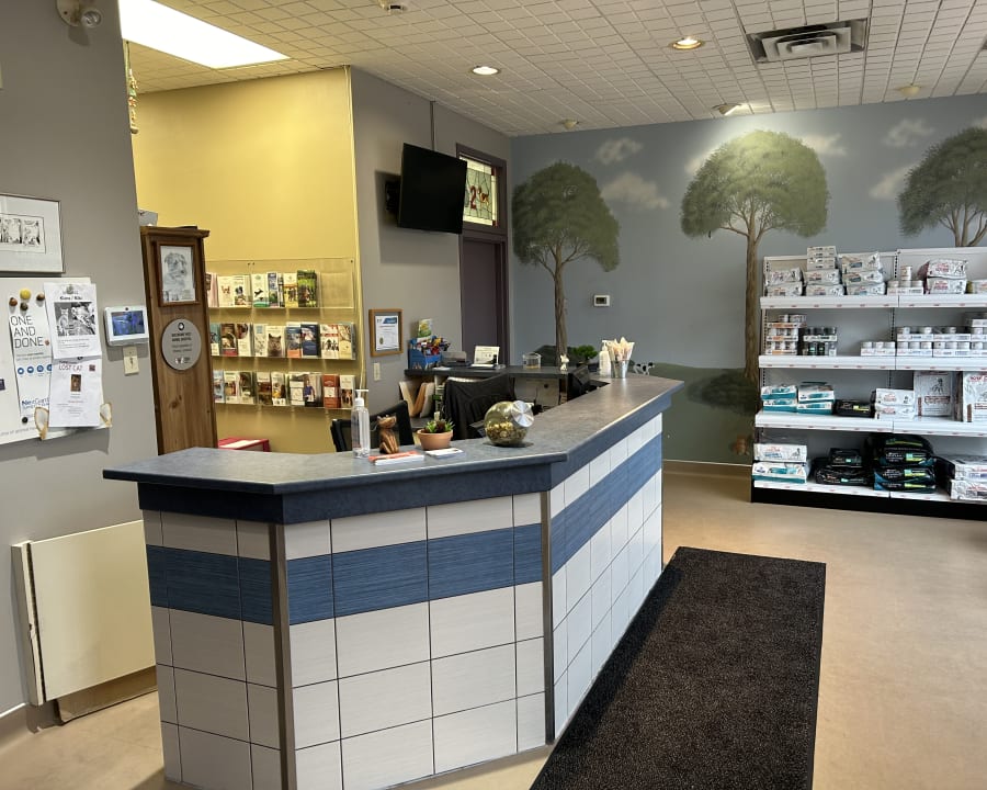 Queensway West Animal Hospital in Kanata