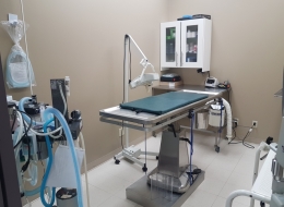 Surgery -Our surgical suite is equipped with the latest anesthetic monitoring equipment to help us keep our patients as safe as possible while under anesthetic.