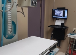X-Ray-Room -Our digital x-ray equipment allows us to quickly view radiographs and get the results to our clients within minutes.